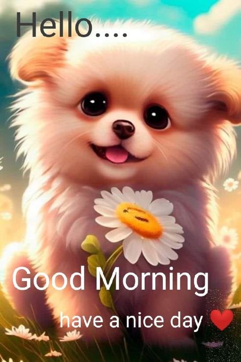 Cute Good Morning Gif, Hello Good Morning, Good Morning Animals, Morning Family, Good Morning Animated Images, Good Morning Cartoon, Good Morning Hug, Good Morning Snoopy, Good Morning Funny Pictures