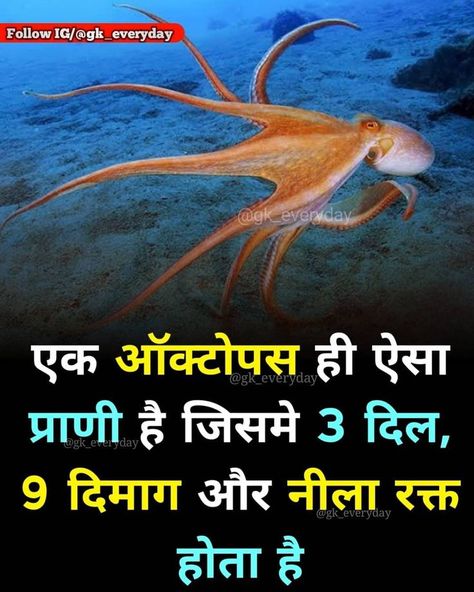 Interesting Facts About World In Hindi, Amazing Science Facts In Hindi, Facts About World, Facts About Life, Science Facts Mind Blown, Rinku Singh, Youtube Facts, Physiological Facts, Facts In Hindi