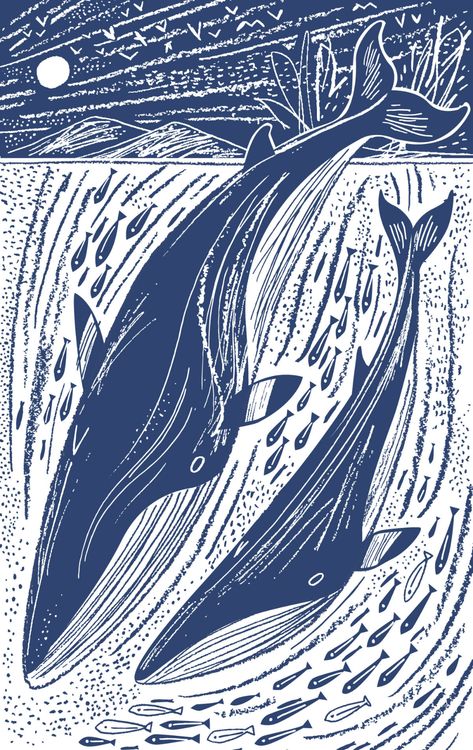 Pioneer Woman Meatloaf, Minke Whale, Ocean Illustration, Whale Illustration, Whale Painting, Whale Tattoos, Lino Art, Whale Art, Whale Print