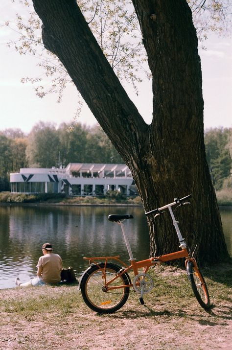 Lake, bike, picnic, summer Minolta X700 Photography, Minolta Srt 101, Minolta X700, 35mm Film, Branding, In This Moment, Film, Photography, Gifts