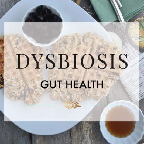 Dysbiosis occurs when the bacteria in the intestines are out of balance, resulting in a vulnerability to the overgrowth of yeast, parasites,   fungi and other harmful strains of bacteria. Gut Dysbiosis Diet, Dysbiosis Diet, Gut Health Plexus, Taking Antibiotics, Microbiome Diet, Healthy Healing, Intestinal Parasites, Healthy Apple, Wellness Wednesday