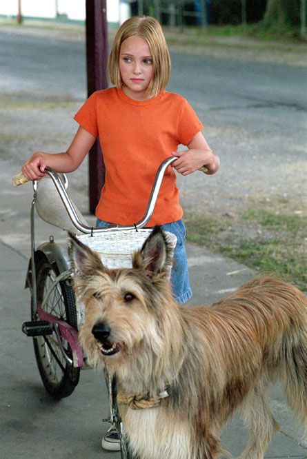 India Opal Buloni and Winn-Dixie Winn Dixie Book, Because Of Winn Dixie, The Carrie Diaries, Bridge To Terabithia, Art Eras, Dog Movies, Winn Dixie, Annasophia Robb, 90s Childhood