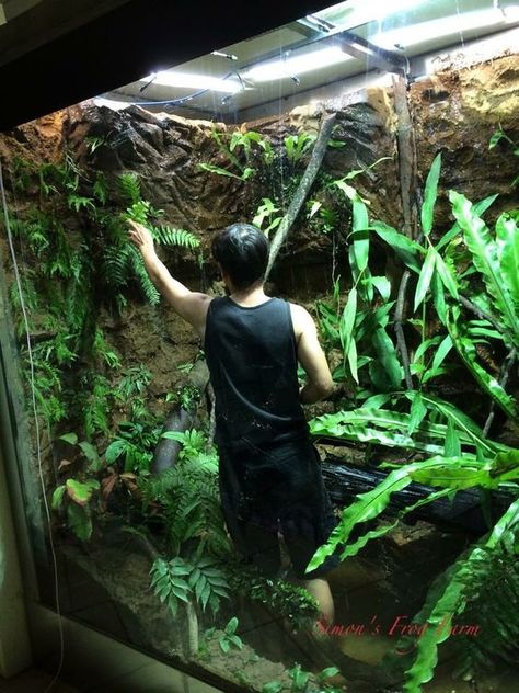 Walk In Terrarium, Huge Terrarium, Snake Terrarium, Frog Terrarium, Gecko Terrarium, Reptile Room, Aquarium Terrarium, Reptile Tank, Tiny Garden