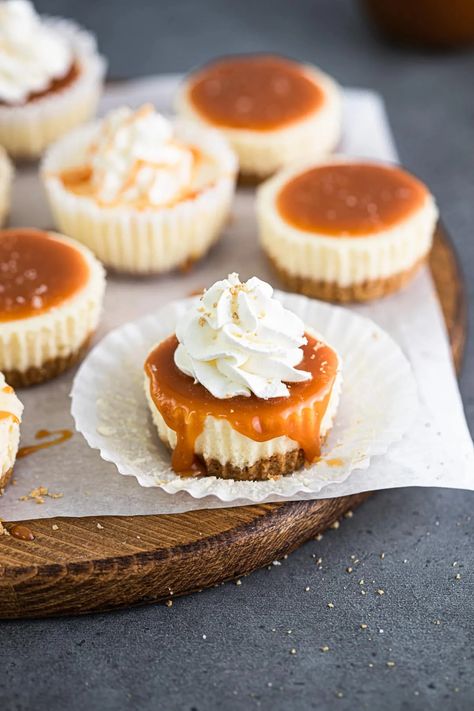 Mini Cheesecakes with Salted Caramel | Baker Street Society Mini Cheesecake Recipes, Salted Caramel Cheesecake, Fun Deserts, Bite Size Desserts, Caramel Cheesecake, Money Makers, Cheesecake Bites, Mini Cheesecakes, Chai Latte