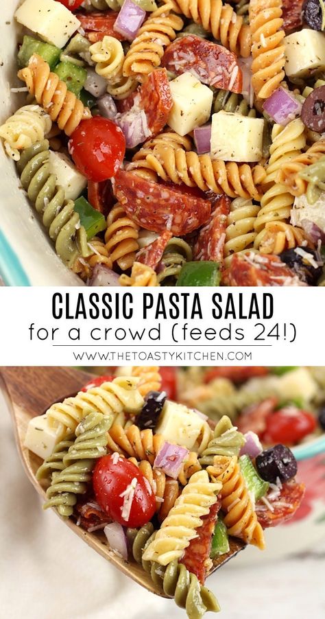 Classic pasta salad recipe by The Toasty Kitchen. Classic pasta salad is made with a tri-color rotini, filled with vegetables and cheeses, and coated in a homemade vinaigrette. The perfect recipe to feed a crowd! #pastasalad #picnic #sidedish #summer #partyfood #sidedishrecipe #recipe #picnicsides #vinaigrettedressing Pasta Salad For A Crowd, Salad For A Crowd, Homemade Pasta Salad, Salads Ideas, Sweet Custard, Classic Pasta Salad, Cream Salad, Pastas Recipes, Dessert Oreo