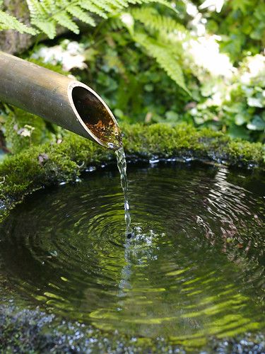 Zen Water Fountain, Image Zen, Kolam Air, Meditation Garden, Small Fountains, Magic Garden, Moss Garden, Covered Garden, Water Features In The Garden