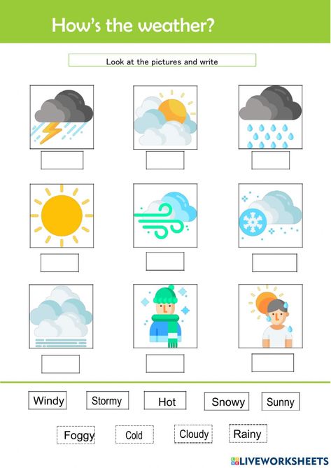 What Is The Weather Like Today, Weather For Kids, Weather Like Today, Warm And Cold Colours, Weather Worksheets, Seasons Months, Esl Vocabulary, English Worksheets For Kids, English As A Second Language (esl)