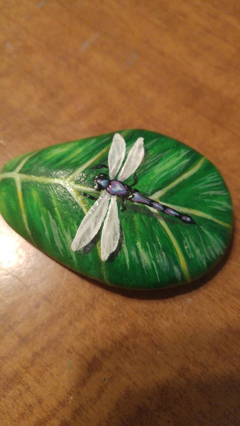 Painting Bugs On Rocks, Painted Rock Dragonfly, Dragonfly Painting Acrylic, Dragonfly Diy, Painted Dragonfly, Dragonfly Painting, Garden Rock Art, Diy Rock Art, Painted Rock Animals