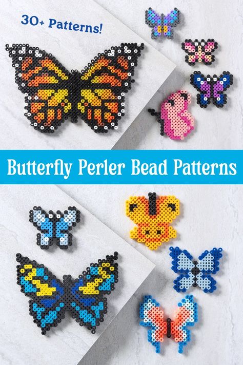 Get over 30 patterns for butterfly perler beads! There are a variety of colors and sizes for anyone who loves these winged insects. Monarch Butterfly Perler Bead Pattern, Hama Beads Patterns Butterfly, Perler Butterfly Pattern, Butterfly Fuse Beads, Perler Beads Ideas Cute Animals, Spring Perler Beads, Perler Bead Butterfly Patterns, Spring Perler Bead Patterns, Perler Bead Bugs