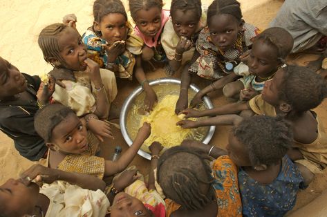 Africa Hunger, Going To Bed Hungry, World Food Programme, Hungry Children, World Hunger, Food Insecurity, African Children, Poor Children, Funny Lol