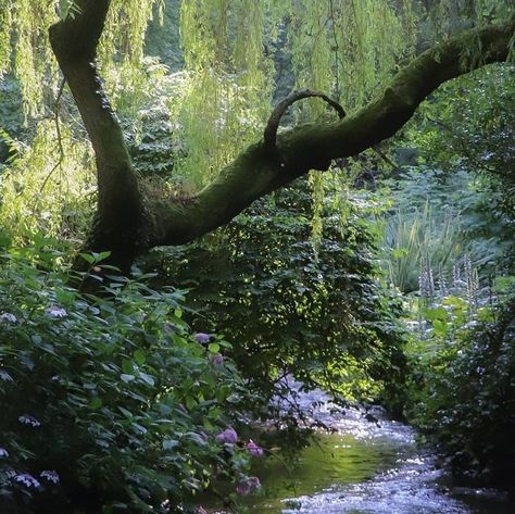 Pretty Landscapes, Green Forest, Nature Aesthetic, Pretty Places, Green Aesthetic, Fantasy Landscape, Mother Earth, Pretty Pictures, Secret Garden