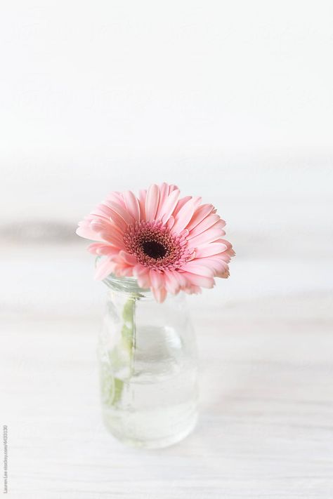 Single Flower In Vase, Flower In Glass Vase, Vision 2024, Pink Daisy, Table Arrangements, Single Flower, House Wedding, Bud Vase, Wooden Table