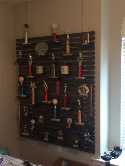 Soccer Trophy Display Ideas, Trophy Stand Display, Trophy Shelf Ideas, Diy Trophy Shelf, Matilda Props, Award Shelf, Trophy Display Ideas, Trophy Shelves, Basement Shelves