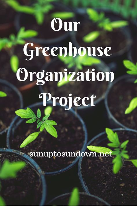 Our greenhouse organization project helped us to organize and prepare our greenhouse for this upcoming plentiful growing season. #Greenhouse Organization #Greenhouse Preparation #Gardening Preparation #Preparation for Growing Season #Cut Your Food Budget By Gardening #Reduce Your Food Budget #Save Money By Gardening #Self-Sustainability Greenhouse Storage Ideas, Greenhouse Organization Ideas, Greenhouse Organization, Small Heater, Food Budget, Storage Shed Plans, Backyard Greenhouse, Greenhouse Plans, Aloe Vera Plant