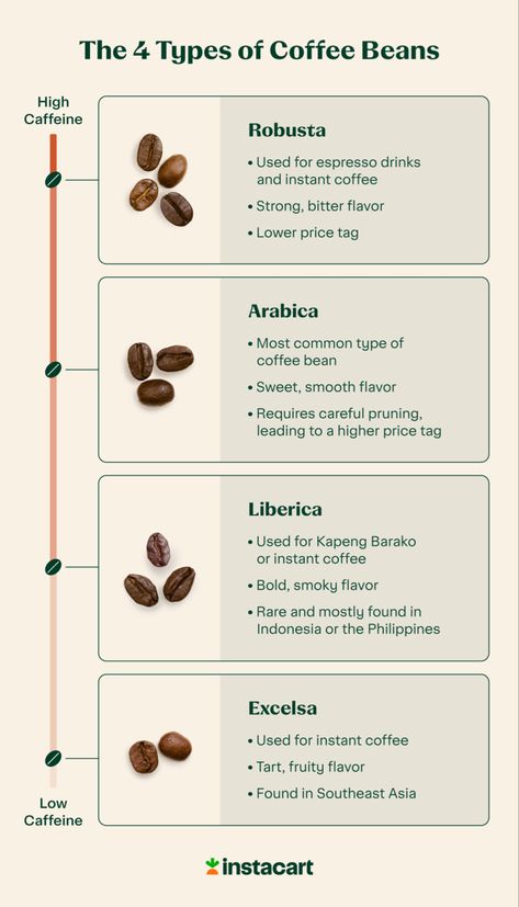 Aesthetic Barista, Coffee Information, Coffee 101, Coffee Knowledge, Coffee Menu Design, Types Of Coffee Beans, Coffee Infographic, Day6 Dowoon, Coffee Origin