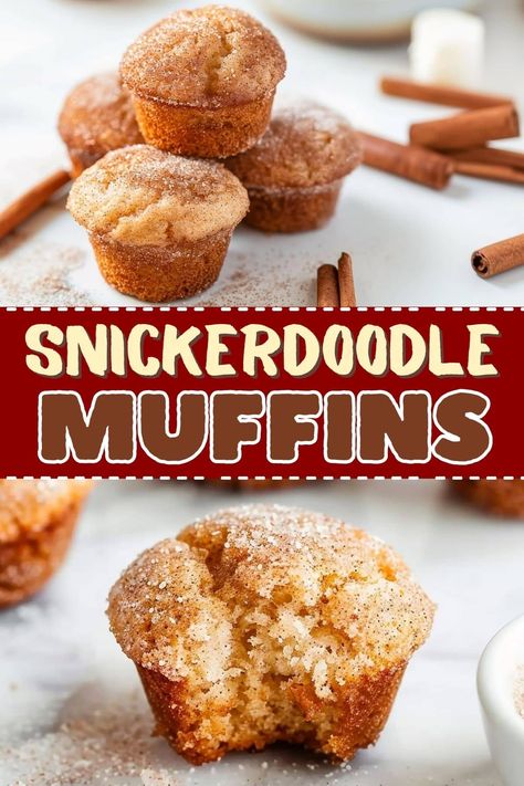 These snickerdoodle muffins are a soft, lightly spiced dream come true. But be warned - they disappear FAST, so you might want to make a double batch! Snickerdoodle Muffins Easy, Sweet Muffins Easy, Make Ahead Muffin Batter, Holiday Mini Muffins, Snicker Doodle Muffins, Large Batch Muffin Recipes, Easy Morning Muffins, Cinnamon Mini Muffins, Easy Fall Muffins