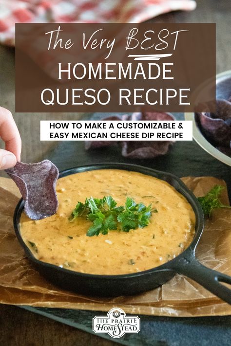 Mexican Cheese Dip Recipes, Queso Recipe Easy, Homemade Queso Recipe, Best Queso Recipe, Homemade Cheese Dip, Mexican Cheese Dip, White Queso Recipe, Queso Cheese Dip, Homemade Queso