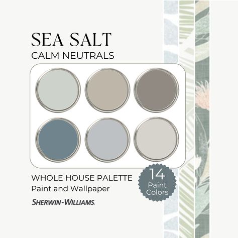 Blue Green Paint Palette, Whole House Color Palette Sea Salt, Light Blue Green And White Bedroom, Blue Green Gray Paint Colors Sherwin Williams, Light Blue Green Paint Colors Sherwin Williams, Valspar Sea Salt Blue, Sherwin Williams Sea Salt Color Palette, Sw Sea Salt Color Palette, Sea Salt Sherwin Williams Bedroom