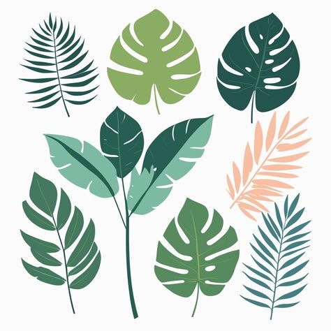 Exotic leaves tropic leaf set vector ill... | Premium Vector #Freepik #vector #tropical #flat #plants #plant Leaf Illustration Design, Supplement Design, Tropical Leaves Illustration, Plants Vector, Leaf Vector, Illustration Botanical, Leaf Silhouette, Leaves Illustration, Leaf Illustration