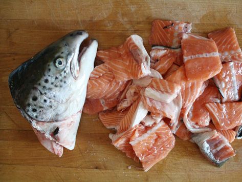 Salmon Head Recipe, Fish Stock Recipe, Fish Head Soup, Salmon Soup, Oily Fish, Dried Dill, Fish Head, Fish Stew, Creamed Potatoes