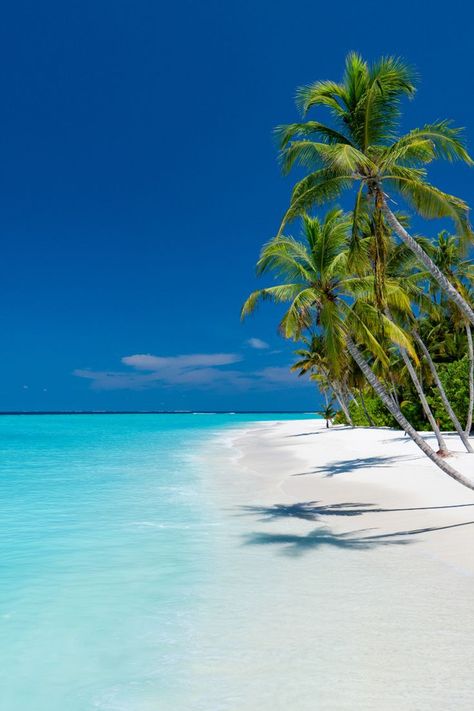 the world's most stunning beaches maldives Honeymoon Aesthetic, Paradise Beaches, Maldives Vacation, Maldives Honeymoon, Maldives Beach, Beautiful Beach Pictures, Visit Maldives, Luxury Honeymoon, Beach Honeymoon