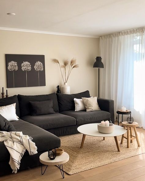 Black Couch Living Room, Dark Grey Couch Living Room, Grey Sofa Living Room, Grey Couch Living Room, Living Room Decor Gray, Apartment Living Room Design, Black Living Room, Small Living Room Decor, Ideas Living Room