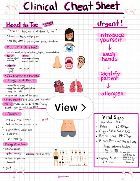 Lemon8 · Head To Toe Assessment  · @Monicaaa Head To Toe Assessment Cheat Sheet, Abdomen Assessment Nursing, Physical Assessment Nursing, Head To Toe Assessment Nursing, Abdominal Assessment Nursing, Health Assessment Nursing, Nursing Math, Nursing School Organization, Nursing School Studying Cheat Sheets