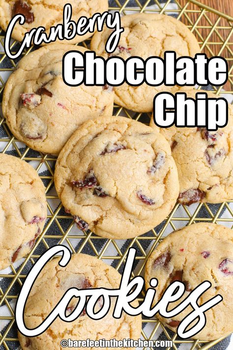 Cranberry Chocolate Chip Cookies Choclate Chip Cookie Recipe, Cranberry Chocolate Chip Cookies, Craisin Cookies, Dried Cranberries Recipes, Cranberry White Chocolate Chip Cookies, Chocolate Cranberry Cookies, Cranberry Cookies Recipes, Cranberry Chocolate, Chocolate Drop Cookies