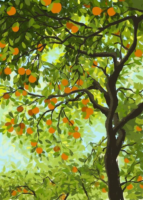 Painting Of Orange Tree, Tangerine Tree Drawing, Orange Tree Painting Acrylic, Orange Trees Painting, Apricot Tree Illustration, Orange Grove Painting, Orange Tree Mural, Summer Tree Drawing, Orange Tree Watercolor