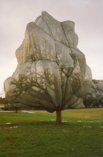 Cristo & Jeanne-Claude #art #visualart Christo And Jeanne Claude, Jeanne Claude, Collaborative Art, A Level Art, Environmental Graphics, St Francis, Land Art, Environmental Art, Natural Environment