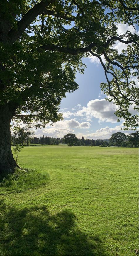 Peaceful Landscapes Photography, Realistic Nature Pictures, Beautiful Grass Field, Background Grass Nature, Lawn Aesthetic, Campo Aesthetic, Outside Background, Outside Pics, Field Scenery