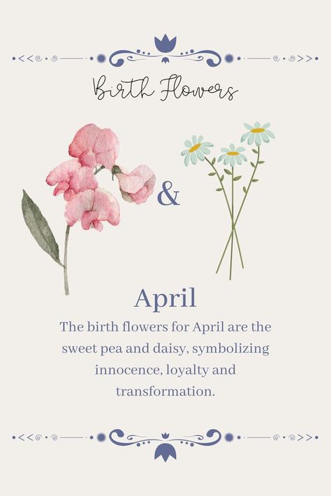 April Birth Flowers, Sweet Pea Tattoo, Birthday Month Flowers, April Birth Flower, Month April, Flower Of The Month, Sweet Pea Flowers, April Flowers, Daisy Tattoo