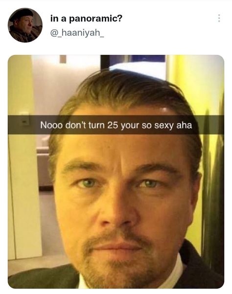 Leonardo Dicaprio, Leonardo Dicaprio Funny, Turning 25, Girlfriend Humor, Breaking Up, Oscar Winners, 25th Birthday, Funniest Memes, 25 Years Old