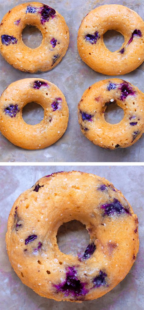 Blueberry Bagels, Weight Watcher Desserts, Blueberry Donuts, Vegan Donuts, Healthy Baked, Blueberry Recipes, Baked Donuts, Sugar Free Desserts, Sugar Free Recipes