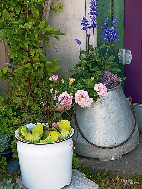 Turn Flea Market Finds into Plant Containers Upcycling, Salvia Farinacea, Mexican Petunia, Enamel Bucket, Repurposed Planter, Milk Bucket, Egg Baskets, Aquatic Garden, Plant Containers