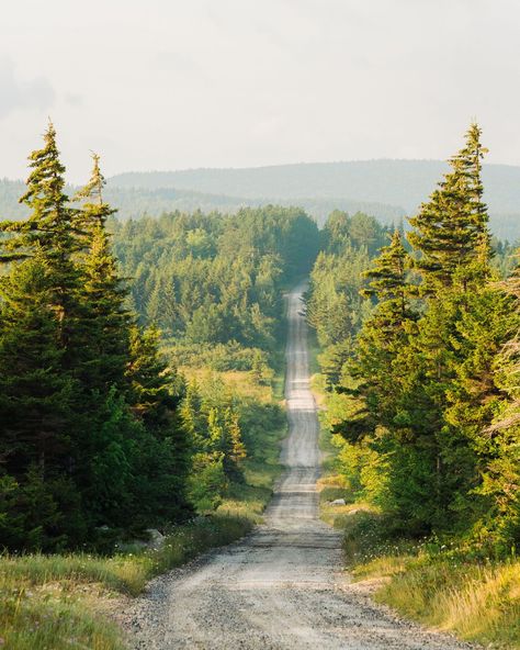 Road in Dolly Sods Wilderness, in Monongahela National Forest, West Virginia West Virginia, Monongahela National Forest, The Adventure Zone, Creative Portfolio, Posters Framed, Image House, National Forest, City Skyline, Theme Park