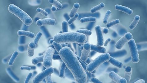 High-res images reveal secrets of a bacterial toxin - https://scienceblog.com/485852/high-res-images-reveal-secrets-bacterial-toxin/ Healthy Colon, Candida Overgrowth, Probiotic Benefits, Lactobacillus Acidophilus, Candida Diet, Yoga Posen, Probiotics Supplement, Gut Bacteria, Neurological Disorders