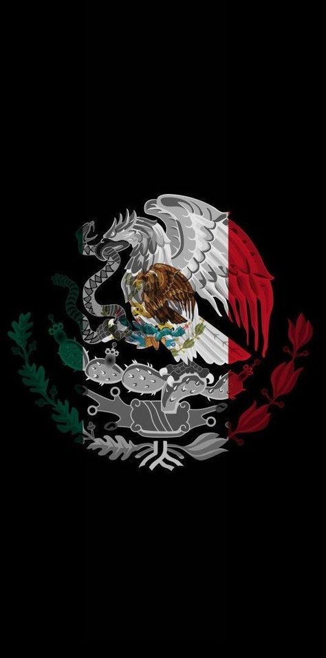 Camoflauge Wallpaper, Mexican American Culture, Lion Art Tattoo, Mexico Wallpaper, Aztec Artwork, American Wallpaper, Mexican Eagle, Mexican Artwork, Wallpaper Sun