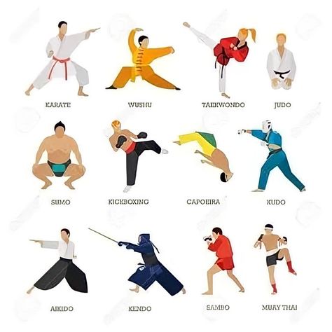 Types Of Martial Arts, Different Martial Arts, Wing Chun Martial Arts, Brazilian Martial Arts, Martial Arts Forms, People Silhouette, Mixed Martial Arts Training, Martial Arts Movies, Martial Arts Techniques