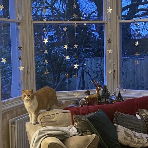 Uni Room, Two Cats, Dream Apartment, Winter Aesthetic, Samhain, Christmas Aesthetic, Cozy Christmas, My New Room, Winter Time