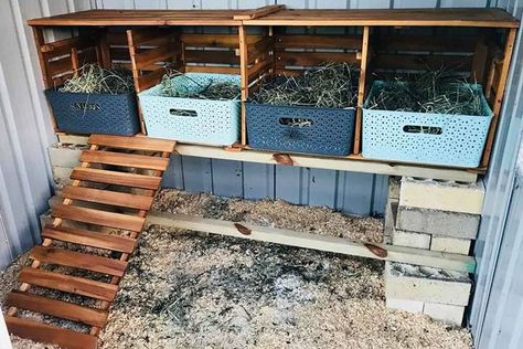 DIY chicken nesting box Reban Ayam, Easy Diy Chicken Coop, Kmart Hack, Cute Chicken Coops, Backyard Chicken Coop Plans, Chicken Nesting Boxes, Diy Chicken Coop Plans, Backyard Chicken Farming, Best Chicken Coop