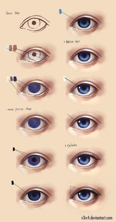 . Realistic Eye Drawing, Eye Drawing Tutorials, Drawing Eyes, Realistic Eye, Types Of Eyes, Animal Illustrations, Digital Paintings, Eye Painting, Eye Tutorial