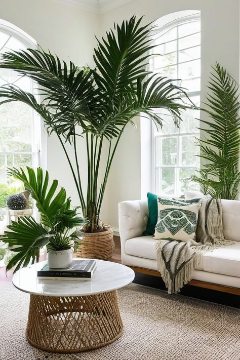 9 Best Indoor Palm Plants Parlor Palm Decor, Plants Indoor Living Room, Indoor Palm Plants, Beach Plants, Png Plants, Potted Palm Trees, Indoor Palm, Sunroom Office, Palm Plants