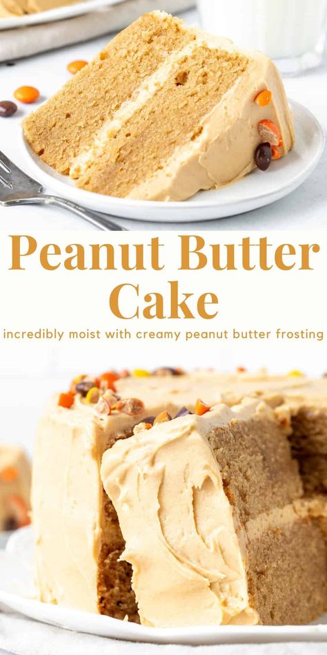 This peanut butter cake is the perfect recipe for true peanut butter lovers! Layers of moist and tender cake with the perfect peanut butter flavor and creamy peanut butter frosting - it's surprisingly not too sweet and loaded with peanut butter. #peanutbuttercake #layercake #peanutbutterfrosting #recipe #peanutbutter from Just So Tasty Peanut Butter Cake And Icing, Peanut Butter Cake And Frosting, Peanut Butter Birthday Dessert, Mini Chocolate Peanut Butter Cake, Peanut Butter And Jam Cake, Peanut Butter Mousse Filling For Cake, Reeses Peanut Butter Cake Recipe, Best Peanut Butter Cake, Peanut Butter Cake With Chocolate Frosting