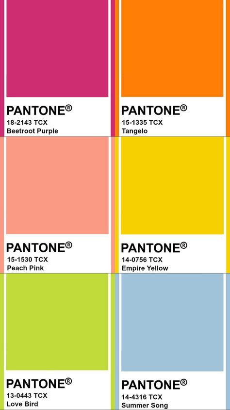 Bright Summer Colour Palette, Bright Cool Color Palette, Color Palette Fun Happy, Vibrant Summer Color Palette, Music Festival Color Palette, Summer Party Color Scheme, Bright Rainbow Color Palette, 2 Color Combos, Fashion Color Palette