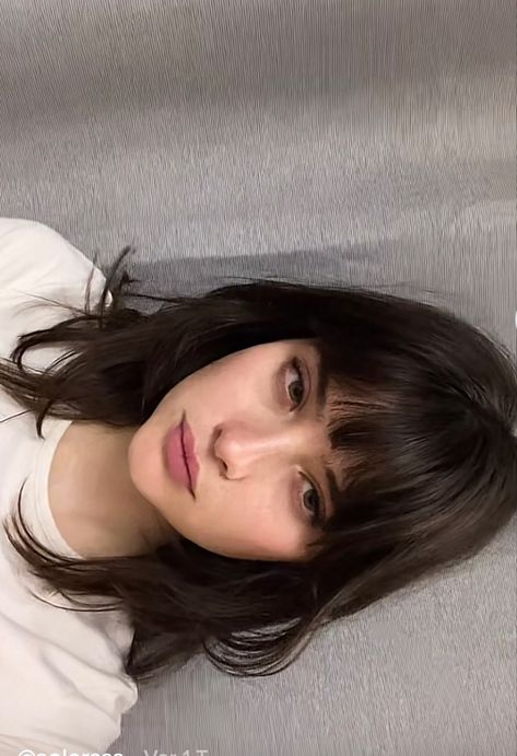 Bangs Inspo, Haircut Inspo, Bangs With Medium Hair, Haircuts For Medium Hair, Haircuts Straight Hair, Cut My Hair, Haircuts With Bangs, Dream Hair, Aesthetic Hair