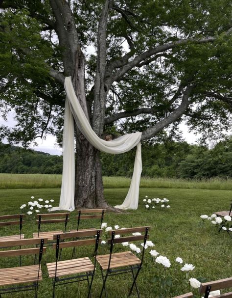 Backyard Wedding Altar Ideas, Outdoor Simple Wedding Decor, Simple Backyard Ceremony, Backyard Ceremony Decor, Outside Field Wedding, Wedding In A Meadow, Wedding Ceremony In Woods, Woods Ceremony Wedding, Minimal Backyard Wedding