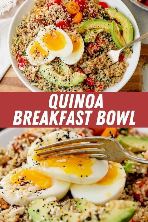 A breakfast quinoa bowl is a healthy and filling way to start your day. This savory meal is layered with perfectly seasoned quinoa, avocado, and topped with a runny egg for a delectable breakfast that will keep you fueled throughout your day. This healthy recipe is a favorite for the entire family. Seasoned Quinoa, Breakfast Quinoa Bowl, Breakfast Bowl Egg, Quinoa Recipes Breakfast, Savory Quinoa, Fluffy Quinoa, Quinoa Recipes Easy, Breakfast Quinoa, Quinoa Recipes Healthy