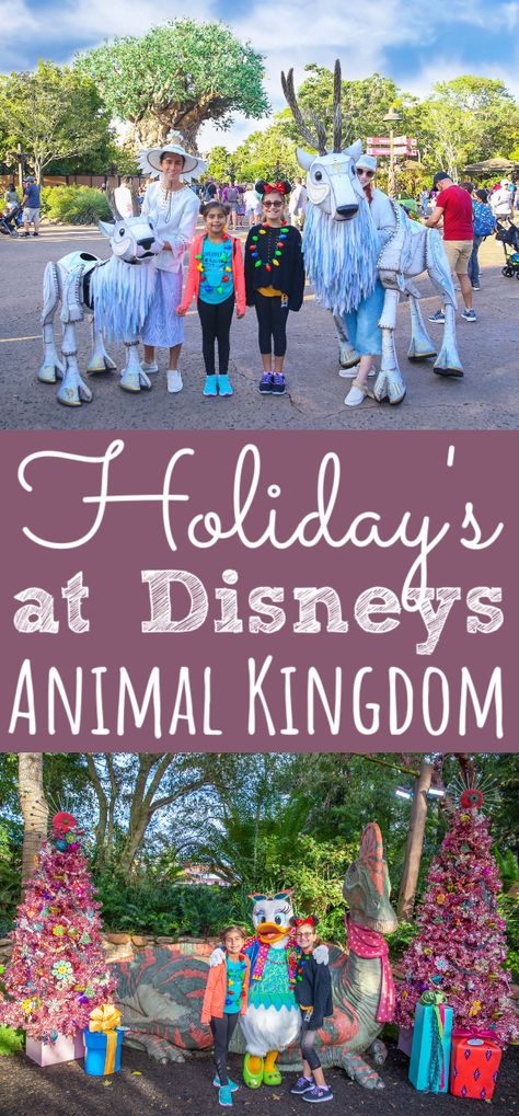 This holiday make sure to visit Disney's Animal Kingdom theme park for new exciting holiday decor, activities, and character meet and greets. Perfect way to spend the holiday season is at Walt Disney World. - simplytodaylife.com #disneyholidays #disneychristmas #florida #themeparks #animalkingdom #waltdisneyworld #disneytips #familydisney Animal Kingdom Shirts Christmas, Animal Kingdom Christmas, Animal Kingdom Disney World, Disney Animal Kingdom Christmas, Wdw Animal Kingdom, Disney World Animal Kingdom Lodge, Disney Activities, Disney World Christmas, Animal Kingdom Lodge