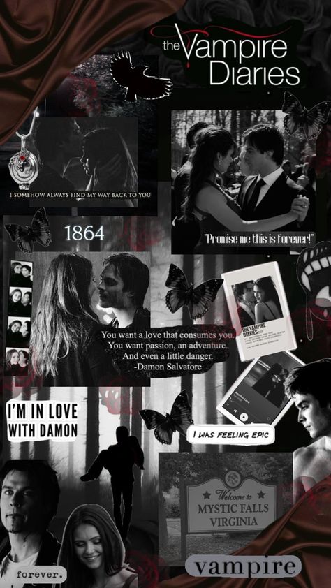 #vampirediaries #black ❤️‍🔥🐦‍⬛ Tvd Aesthetic, Vampire Diaries Poster, Vampire Diaries Movie, Vampire Diaries Quotes, Vampire Diaries Guys, Vampire Diaries Seasons, Vampire Diaries Wallpaper, Vampire Diaries Damon, Vampire Diaries Cast